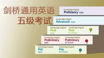 乐优乐国际教育 KET/PET考试捷报频传，学员成绩再创佳绩